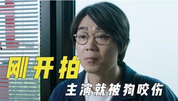 娱乐吃瓜君为什么造谣,揭秘“娱乐吃瓜君”造谣背后的真相与动机